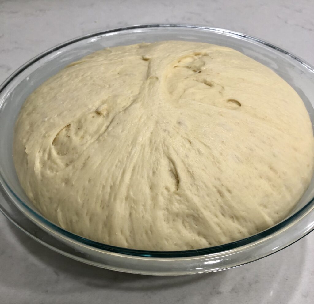 Bread Dough